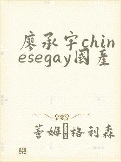 廖承宇chinesegay国产