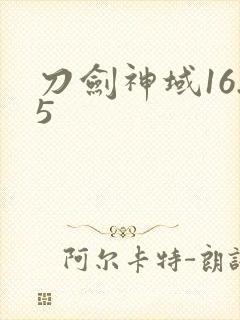 刀剑神域16.5