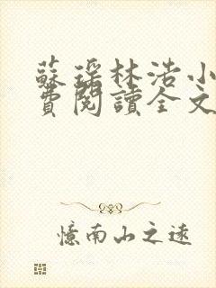 苏瑶林浩小说免费阅读全文最新章节封面