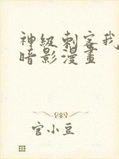 神级刺客我即是暗影漫画