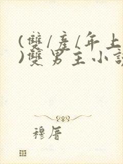 (双/产/年上)双男主小说