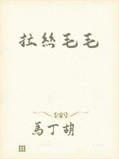 拉丝毛毛