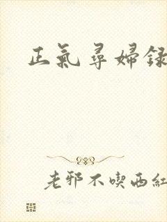 正气寻妇录封面