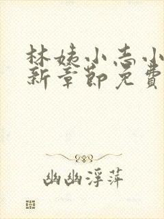 林姨小志小说最新章节免费阅读无弹窗封面