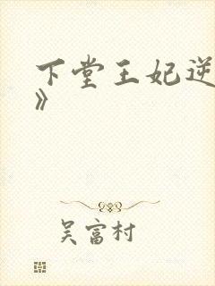 下堂王妃逆袭记》封面