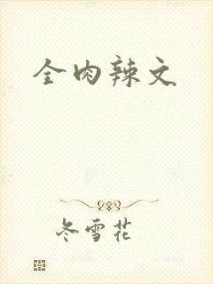 全肉辣文