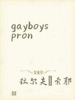 gayboyspron封面