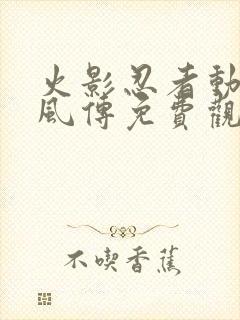 火影忍者动漫疾风传免费观看