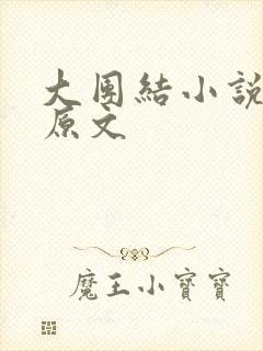 大团结小说阅读原文