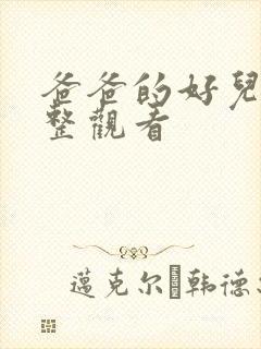 爸爸的好儿子完整观看