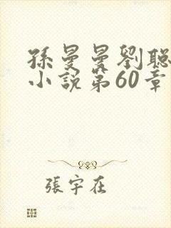 孙曼曼刘聪赵兰小说第60章