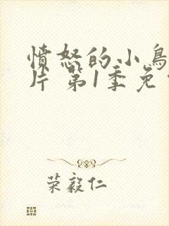 愤怒的小鸟卡通片 第1季免费观看动漫