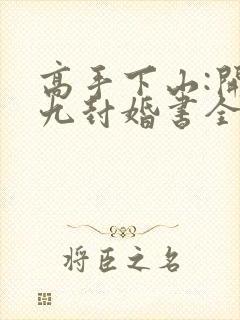 高手下山:开局九封婚书全文下载