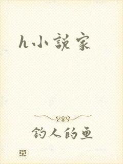 h小说家