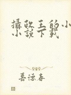 摄政王的小闲妻小说下载