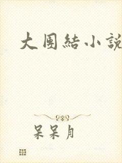 大团结小说全文