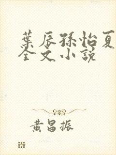 叶辰孙怡夏若雪全文小说