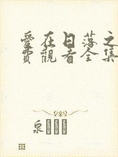 爱在日落之前免费观看全集封面