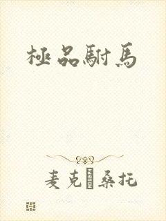 极品驸马