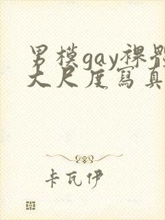 男模gay裸体大尺度写真