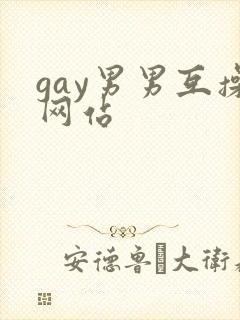 gay男男互操网站