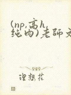 (np,高h,纯肉)老师文