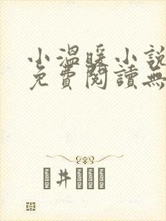 小温暖小说全文免费阅读无弹窗