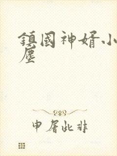 镇国神婿小说楚尘