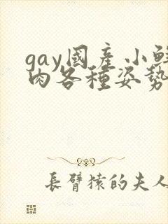 gay国产小鲜肉各种姿势