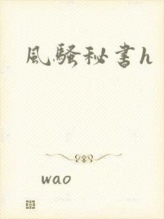 风骚秘书h封面