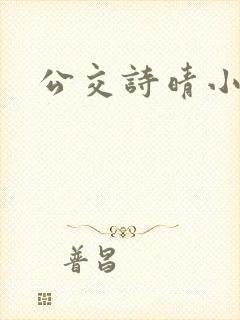 公交诗晴小说