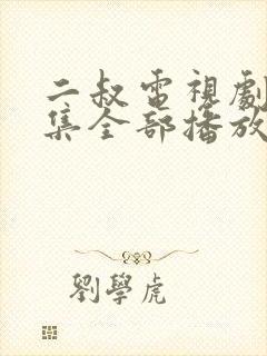 二叔电视剧40集全部播放