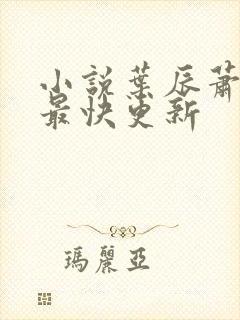 小说叶辰萧初然最快更新封面