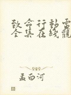 致命行动电视剧全集在线观看封面