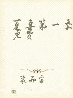 夏妻第一季全集免费