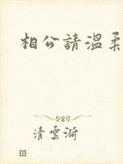 相公请温柔一点封面