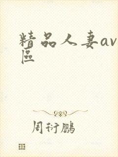 精品人妻av四区