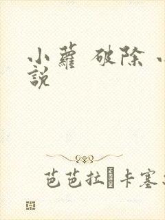 小萝 破除 小说