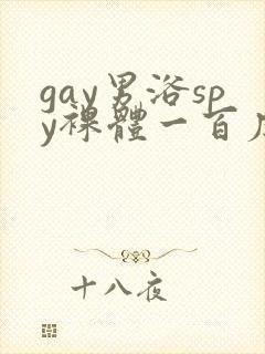 gay男浴spy裸体一百度