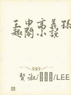 王申高义孙倩笔趣阁小说封面