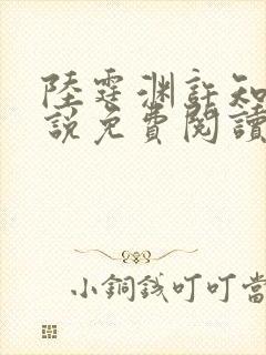 陆霆渊许知夏小说免费阅读最新章节