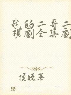 我的二哥二嫂电视剧全集剧情