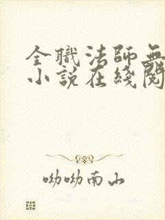 全职法师无删减小说在线阅读