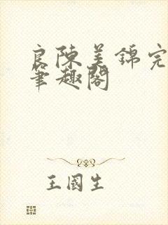 良陈美锦完整版笔趣阁