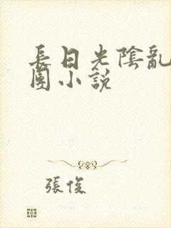 长日光阴乱作一团小说