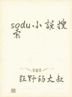 sodu小说搜索封面