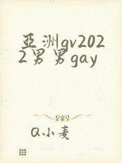 亚洲gv2022男男gay封面