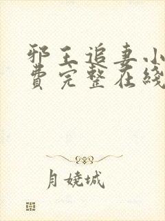 邪王追妻小说免费完整在线阅读封面