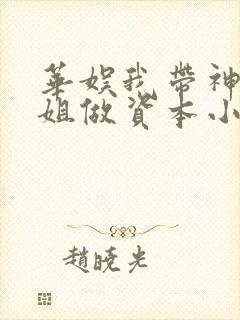 华娱我带神仙姐姐做资本小说