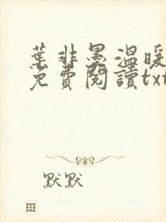 叶非墨温暖全文免费阅读txt